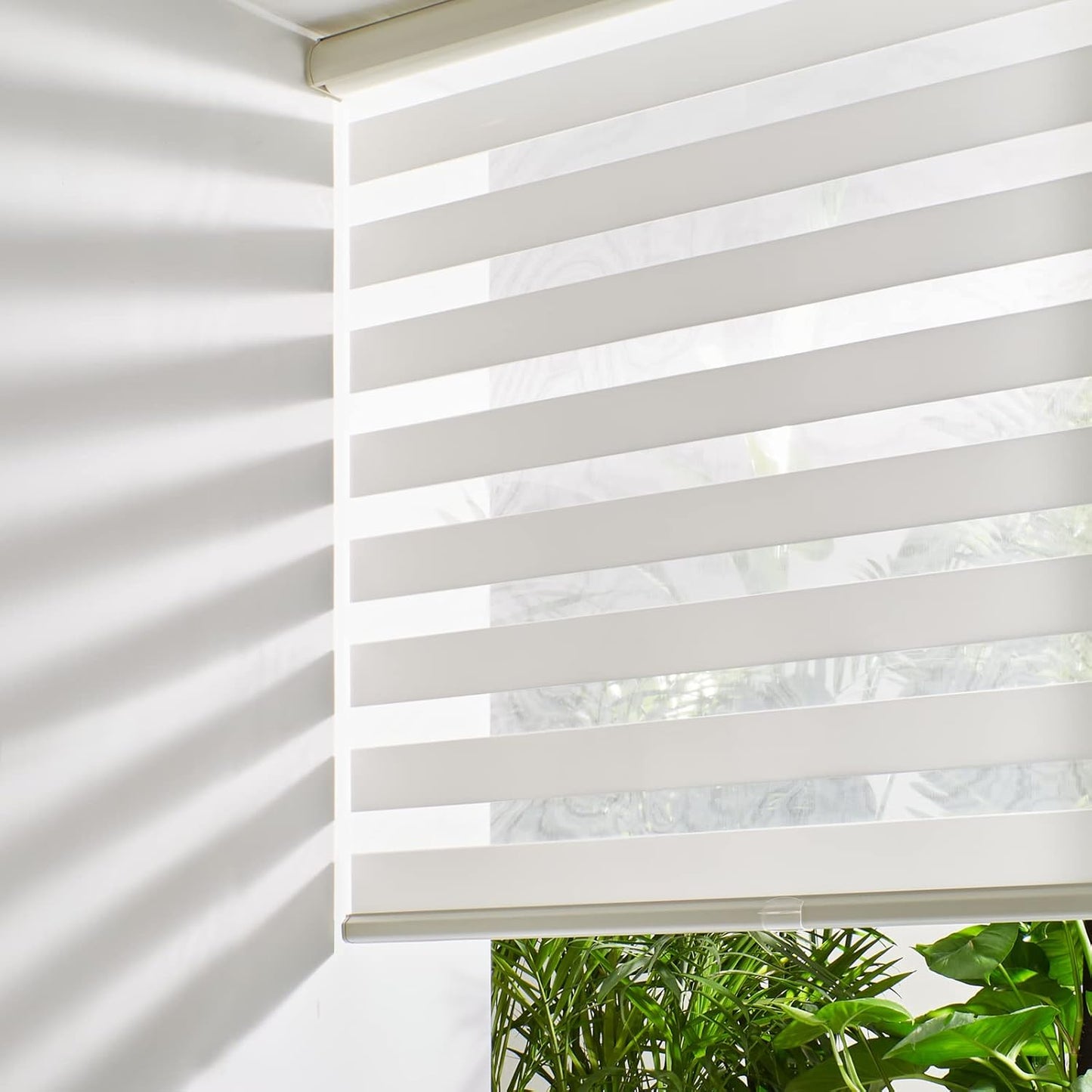 Persilux Cordless Zebra Blinds for Windows Free-Stop Roller Windows Shades (31" W X 72" H, Cream) Dual Layer Light Control for Day and Night, Light Filtering Sheer Shades for Home, Easy to Install