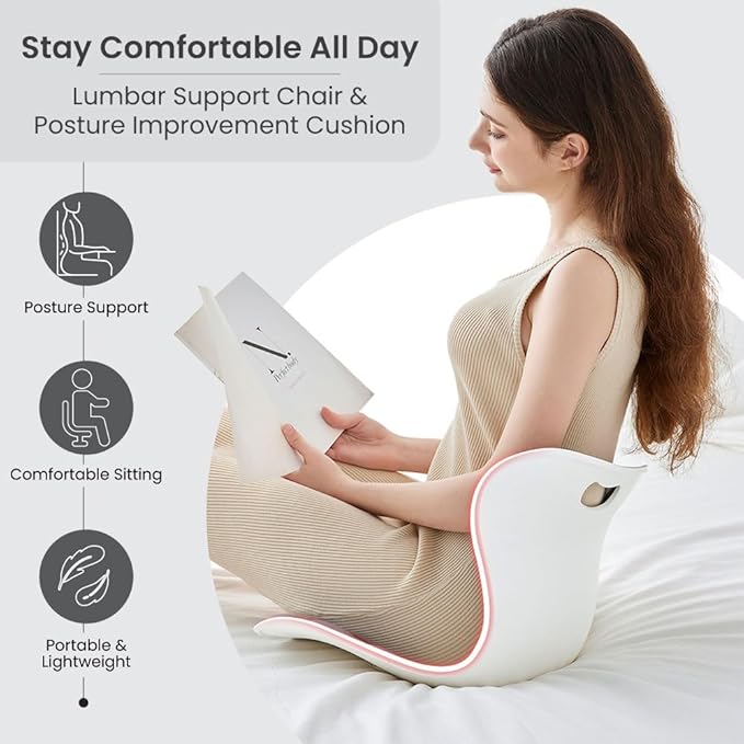 Ergonomic Lumbar Support Cushion, Blue, 460mm x 440mm x 340mm, Large, for Office Chairs & Car Seats, Posture Correction, Pregnancy Comfort, 110-300 lbs Capacity