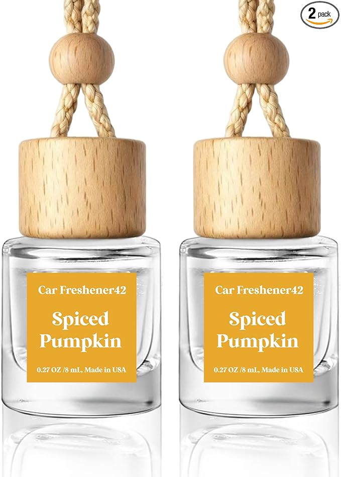 HoogaLife Car Air Freshener Diffuser 2 Pack Hanging Spiced Pumpkin Car Air Freshener for Women 45+ days Long Lasting Fragrance Made in USA (P42)