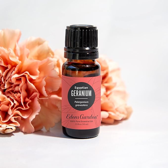 Edens Garden Geranium- Egyptian Essential Oil, 100% Pure Therapeutic Grade (Undiluted Natural/Homeopathic Aromatherapy Scented Essential Oil Singles) 30 ml
