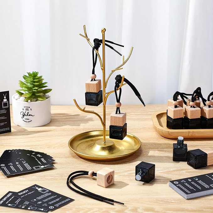 DaisyInner 200 Sets Car Diffuser Bottles Empty Bulk Hanging Car Air Freshener Diffuser Bottles Bulk Glass Perfume Holder with Instruction Cards for Essential Oil Fragrance Pendant(Square,Black)