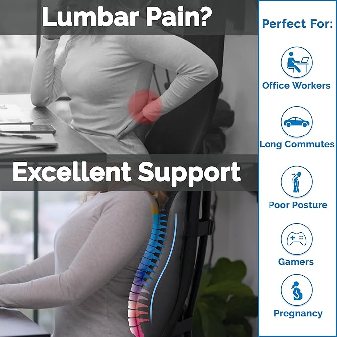ComfiLife Lumbar Support Pillow for Office Chair – Premium Memory Foam Lumbar Pillow – Back Support for Office Chair, Car – Back Pain Relief, Improves Posture – 3 Adjustable Straps, Mesh + Leatherette