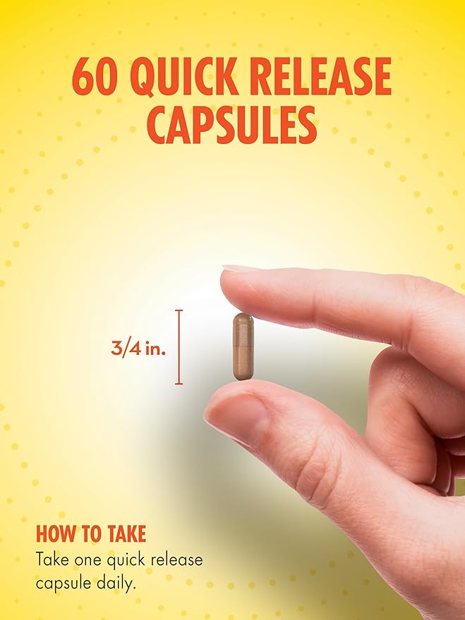 Sundance Ginkgo Biloba Capsules | 120mg | Standardized Extract with Bacopa | Gluten Free Traditional Herb Supplement