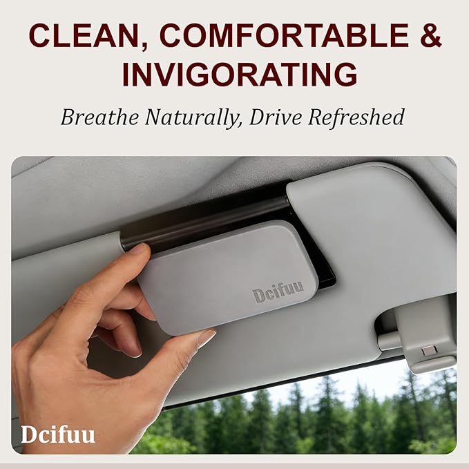 Car Air Freshener - Stone Air Freshener - Car Odor Eliminator - Long Lasting Scent - Car Scent - VISOR CLIP INCLUDED (Amber/set)