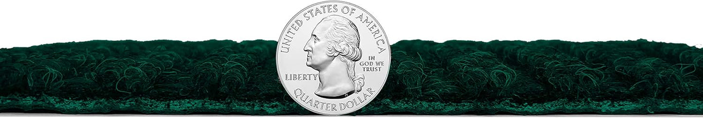 KOECKRITZ Heavy Duty Durable All Weather Indoor/Outdoor Non Slip Entrance Mat Rugs and Runners for Office Business Building Home Garage Front Door (3' x 12', Green)
