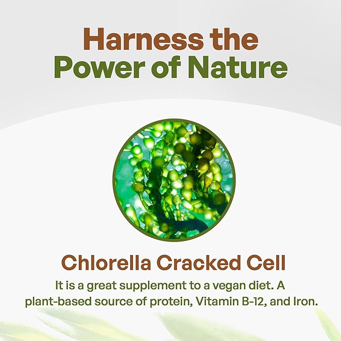 Go Nutra - Chlorella Powder, Pure Greens Powder with Vitamins, Minerals, and Antioxidants, All Natural Greens Superfood Powder, Chlorella Cracked Cell Green Powder, Non-GMO, Vegan, 16 oz