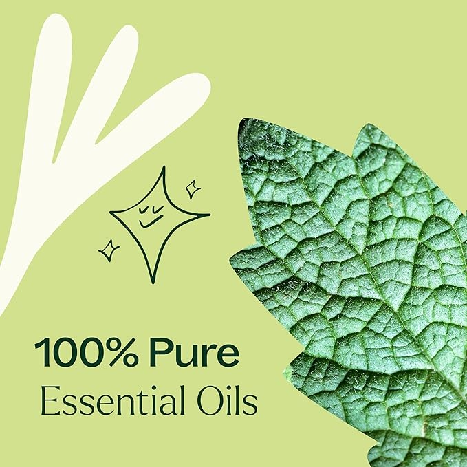 Plant Therapy Sparkling Peppermint Laundry Essential Oil Blend 10 mL (1/3 oz) Pure, Undiluted, Wash Fragrance and Scent Enhancer
