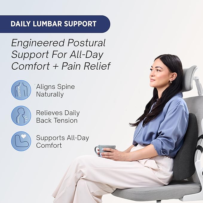 Lumbar Support Pillow for Office Chair - Ergonomic Lower Back Pillow with Adjustable SpineAlign™ Bolster, Firm Memory Foam Pillow for Car, Couch - Dual Straps, Light Grey (Light Grey)