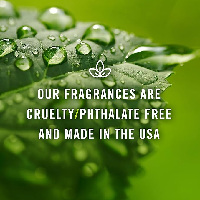 P&J Fragrance Oil Butterscotch 30ml - Candle Scents, Soap Making, Diffuser Oil, Fresh Scents